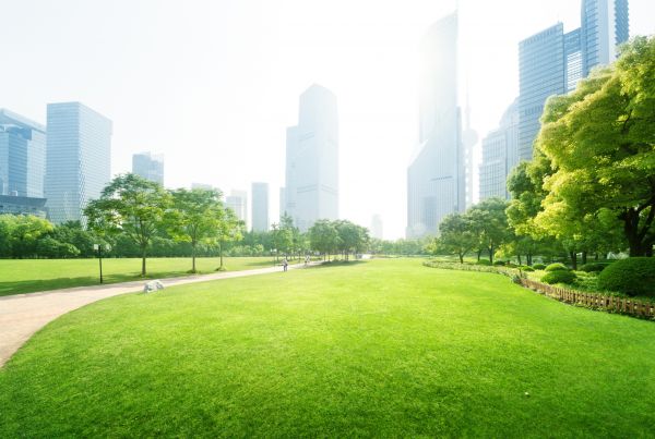 Commercial Landscape Maintenance in Joplin