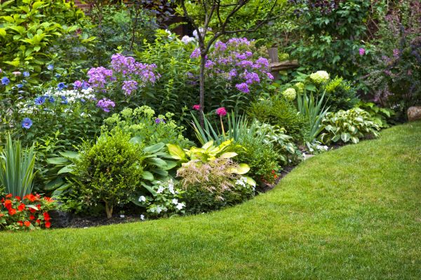 Flower Bed Service in Joplin