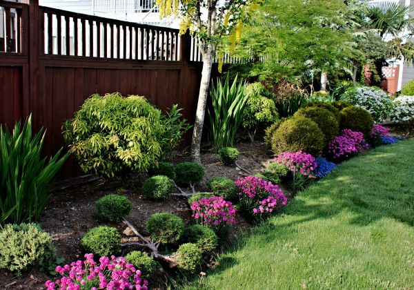 Garden Care Service in Joplin