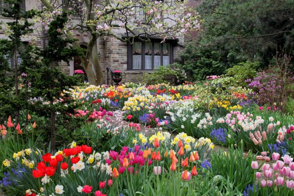Garden Maintenance Service in Joplin