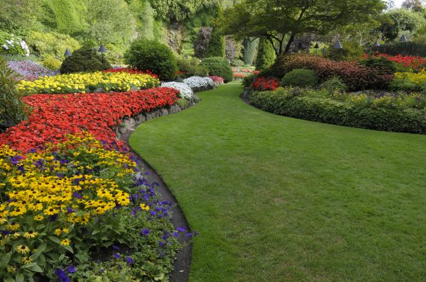 Landscaping Maintenance in Joplin
