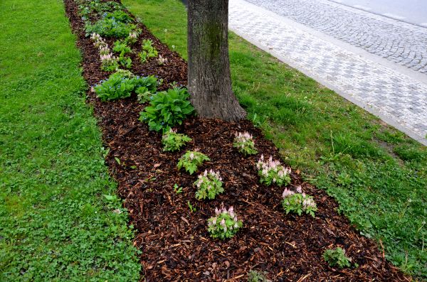Mulch Replacement Service in Joplin
