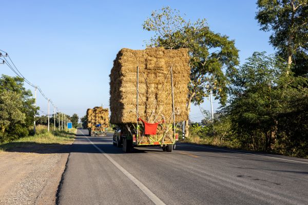 Pine Straw Delivery in Joplin