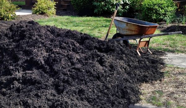 Black Mulch Delivery in Joplin