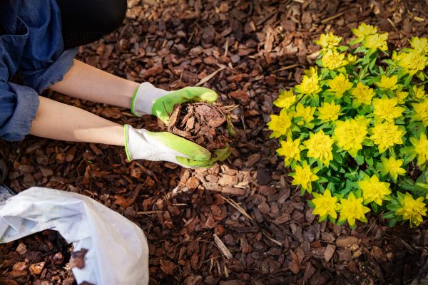 Garden Mulching in Joplin