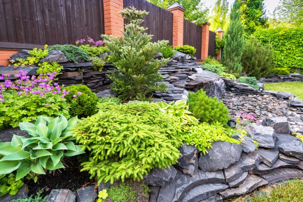 Landscape Remodeling in Joplin