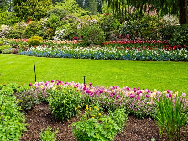 Residential Landscape Design in Joplin