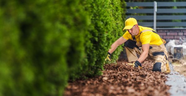 Cypress Mulch Installation in Joplin