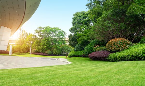 Business Landscape Design in Joplin