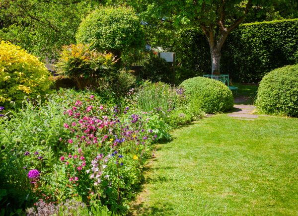 Yard Landscaping Service in Joplin