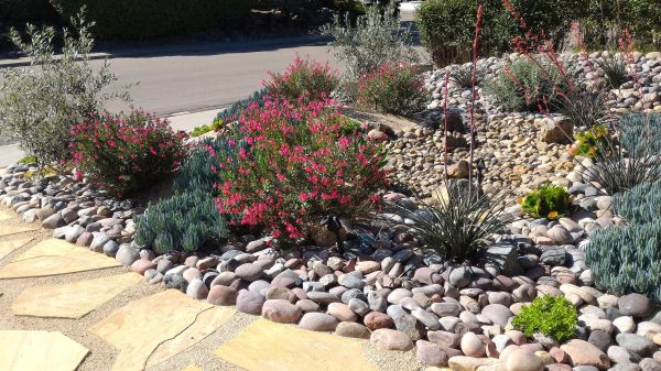 Xeriscape Landscaping in Joplin