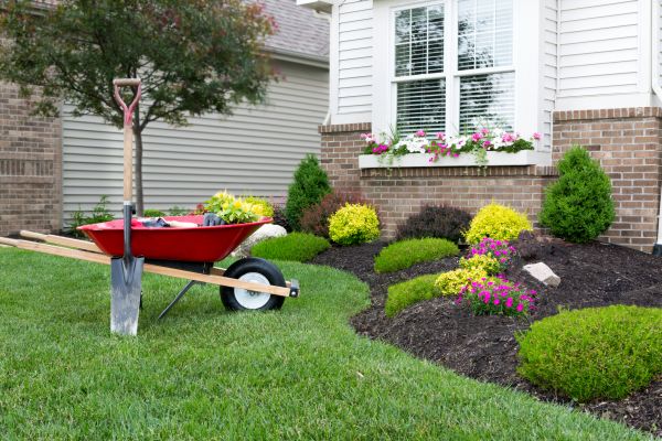 Tree And Shrub Planting in Joplin
