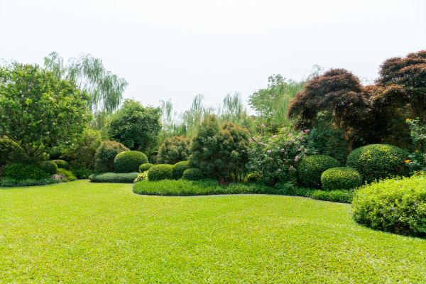 Tree Landscaping in Joplin