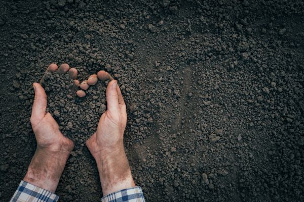 Soil Installation in Joplin
