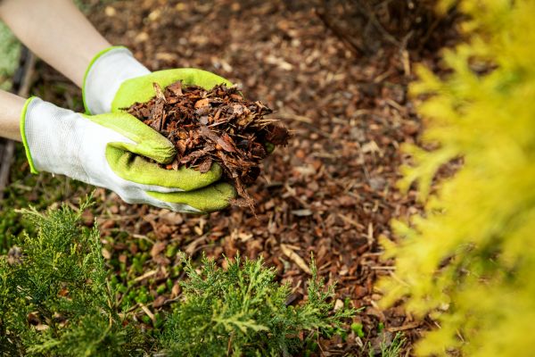 Garden Mulch Delivery in Joplin
