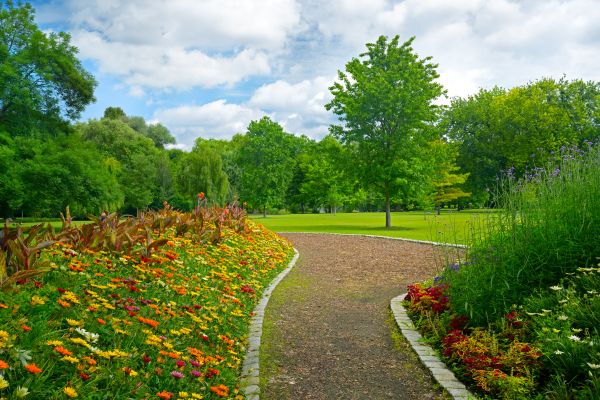 Park Landscaping in Joplin