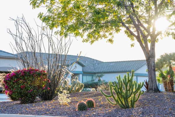 Dryscape Landscaping in Joplin