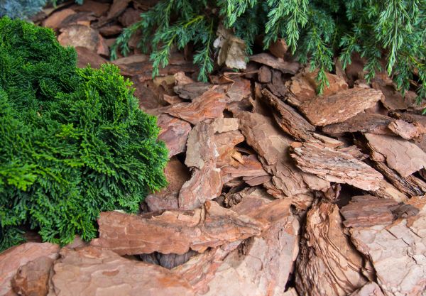 Pine Bark Installation in Joplin