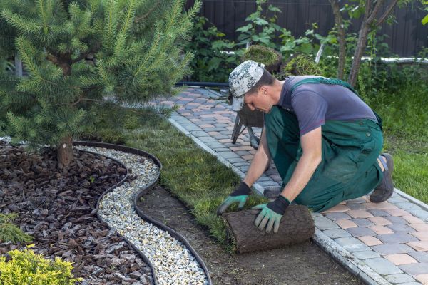 Landscaping Modification in Joplin