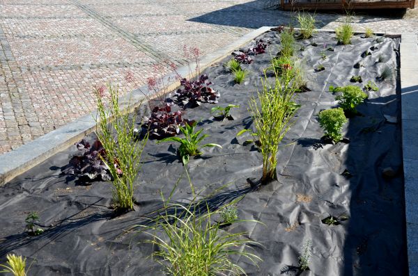 Landscape Fabric Installation in Joplin