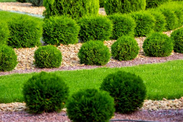 Bush Installation in Joplin