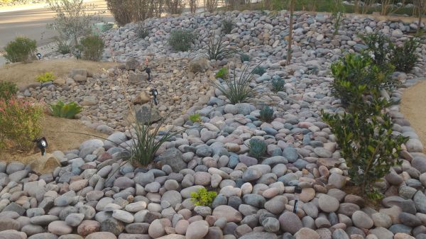 Yard Xeriscaping in Joplin
