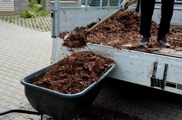 Playground Mulch Delivery in Joplin