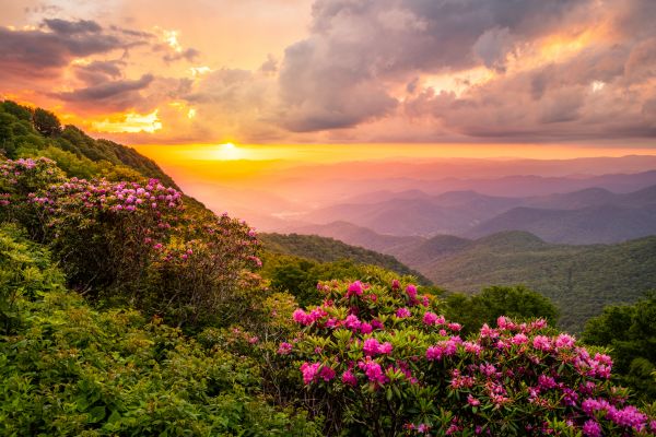 Hill Landscaping