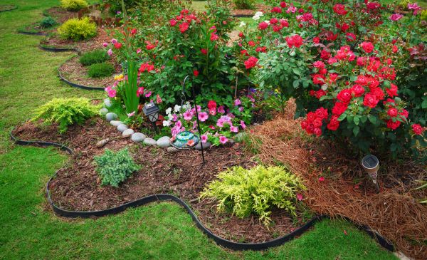 Floral Landscaping in Joplin