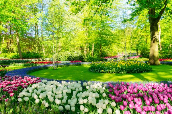Flower Landscaping in Joplin