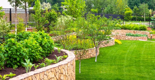 Yard Makeover Service in Joplin