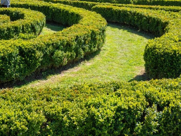 Bush Landscaping in Joplin