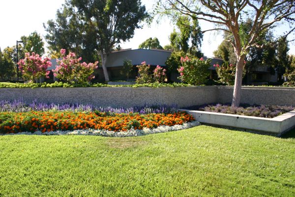 Commercial Landscape Service in Joplin