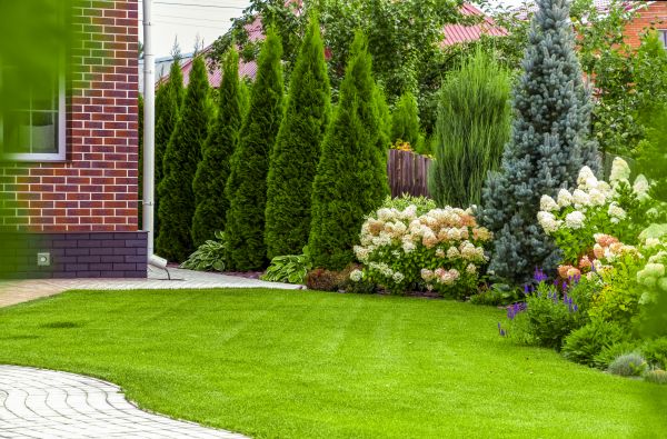 Spring Landscaping in Joplin