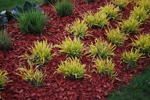 Red Mulch Installation in Joplin