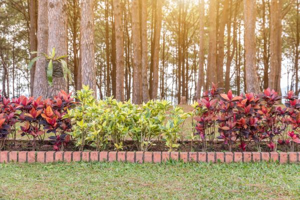 Small Garden Landscaping in Joplin
