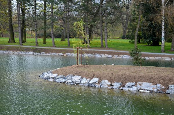 Pond Landscaping Service in Joplin