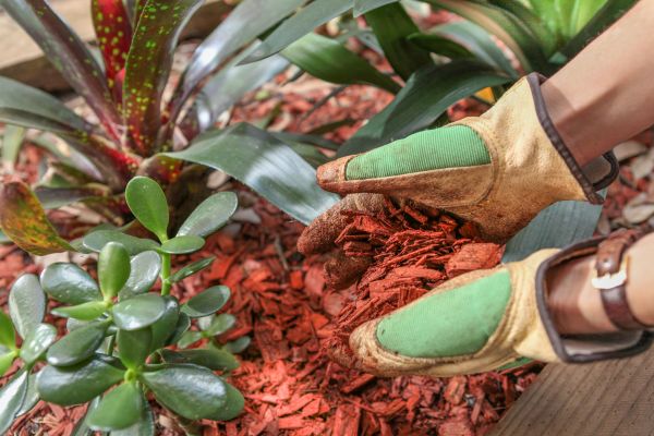Residential Mulching in Joplin