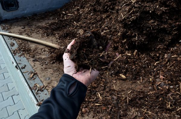 Condo Mulching in Joplin
