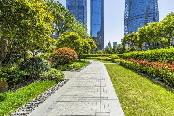 Commercial Landscaping in Joplin